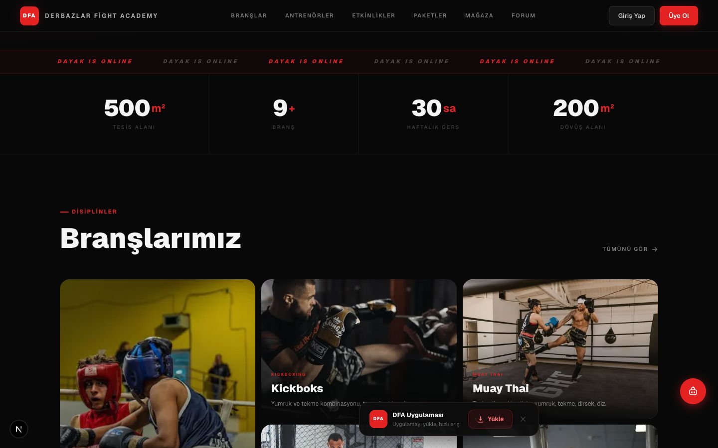 DFA ders programı